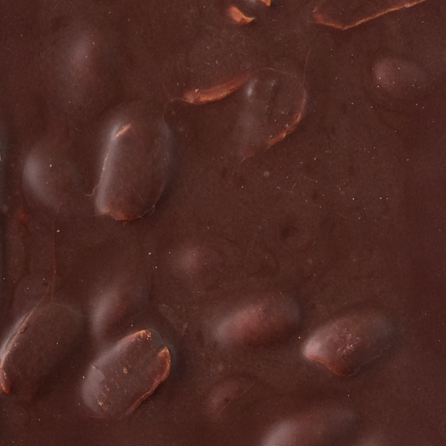 Milk Chocolate + Roasted Peanut