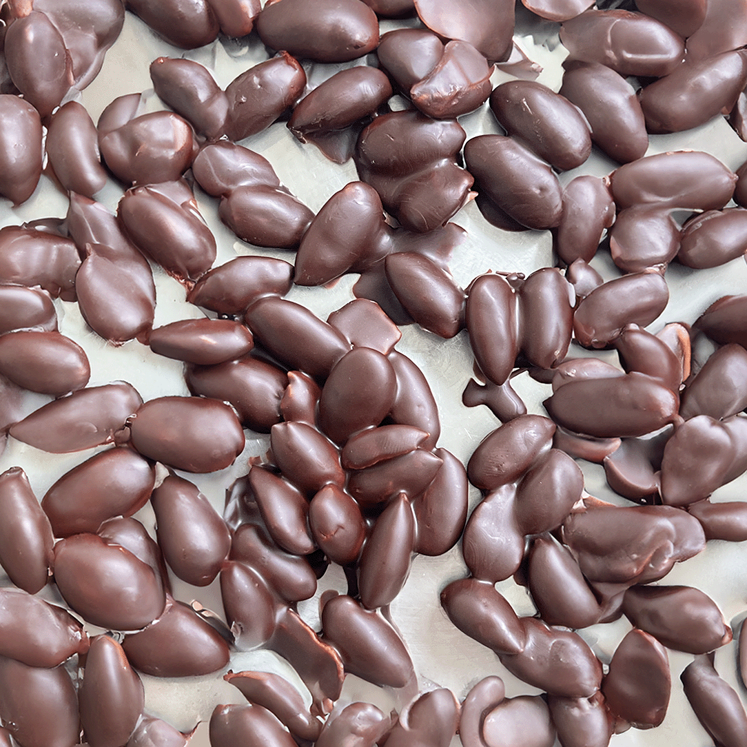 Chocolate Coated Almonds